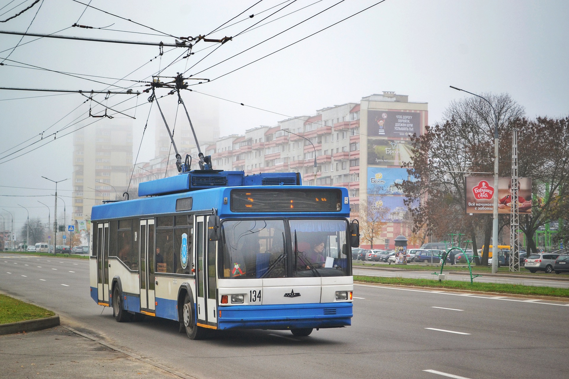 Троллейбус № 11 вернулся на линию в Воронеже - фото 1