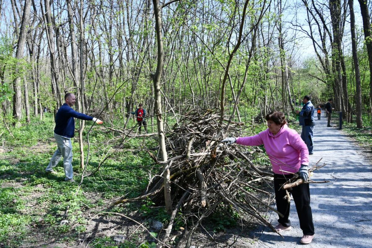 Уникальный экопарк: как в Аксае вернули к жизни Мухину балку - фото 5