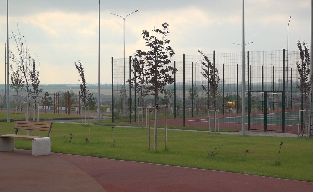 В Ростовской области в 8 раз вырос спрос на озеленение жилых комплексов - фото 1