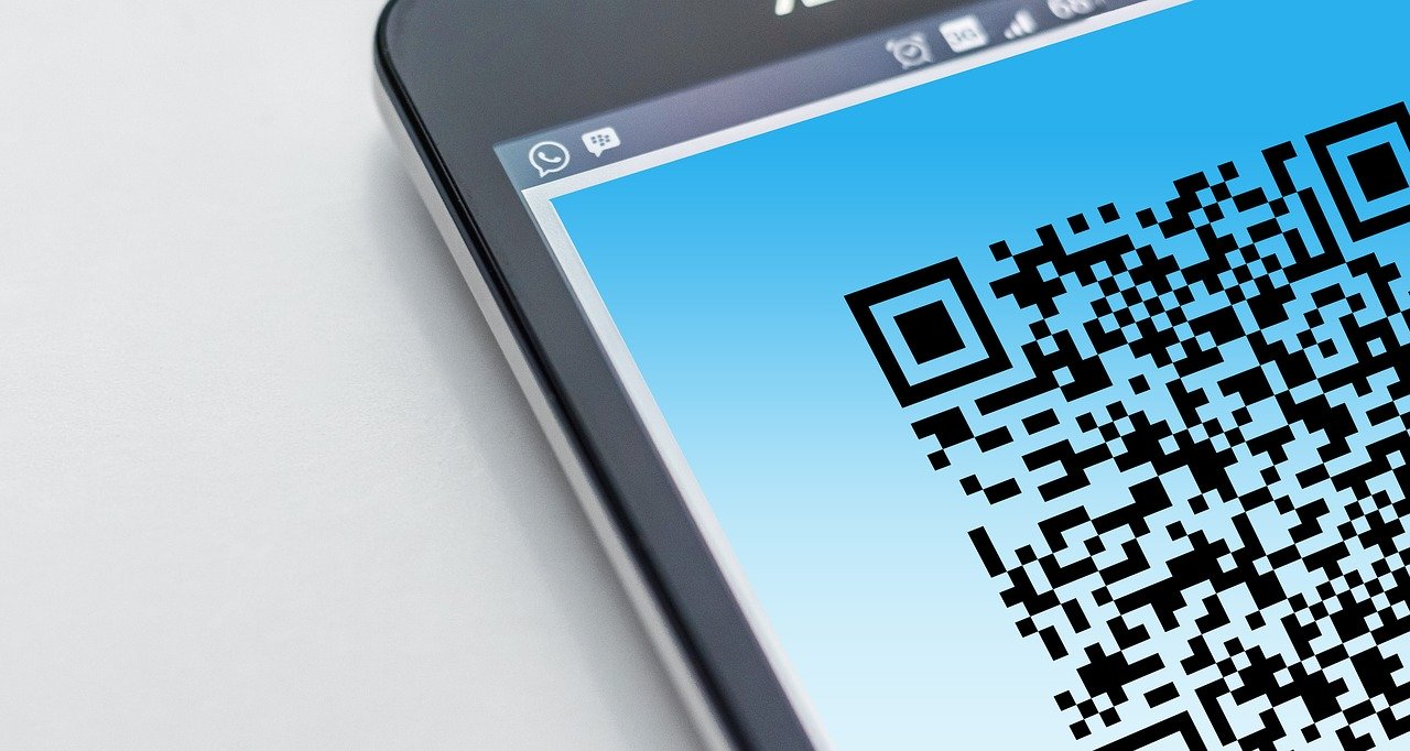 Самарцы будут подтверждать необходимость выхода  из дома QR-кодом, для работы это не требуется