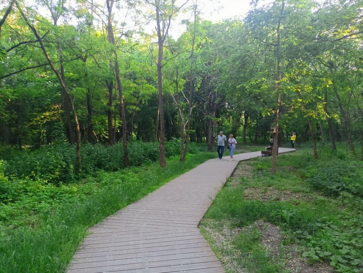 Уникальный экопарк: как в Аксае вернули к жизни Мухину балку - фото 9