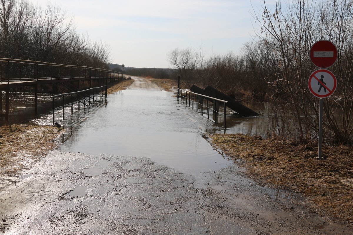 В Нижегородской области из-за паводка может затопить 11 мостов  - фото 1