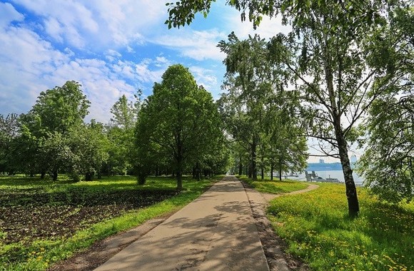 Ростовчане выступили против планируемого строительства стадиона на Зеленом острове