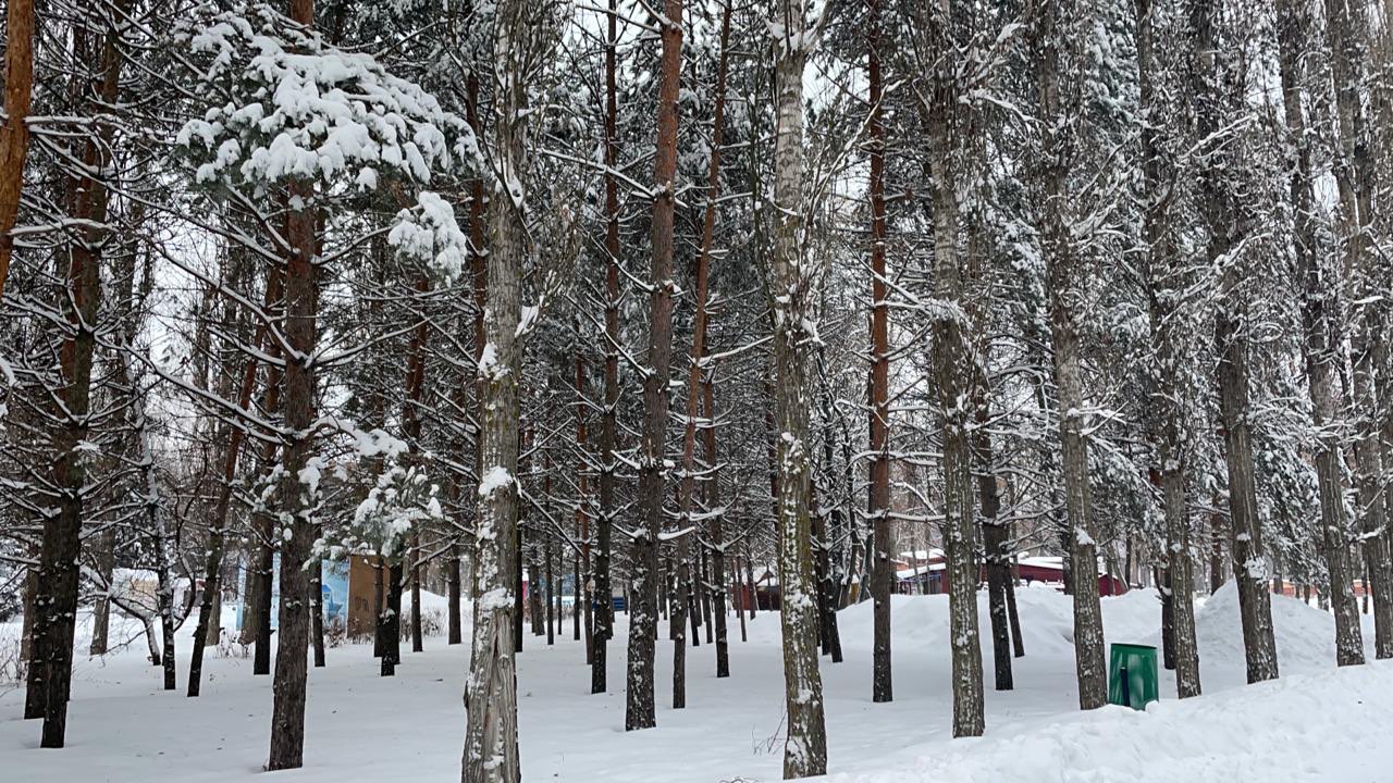 Новую станцию снеготаяния в Нижнем Новгороде построят до конца 2021 года - фото 1