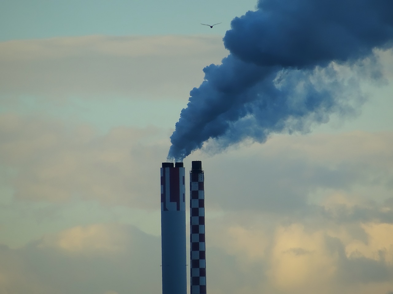 Факты вредных выбросов в атмосферу в Волгаре проверит прокуратура РФ