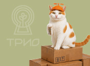 ЖК  «Трио» 
