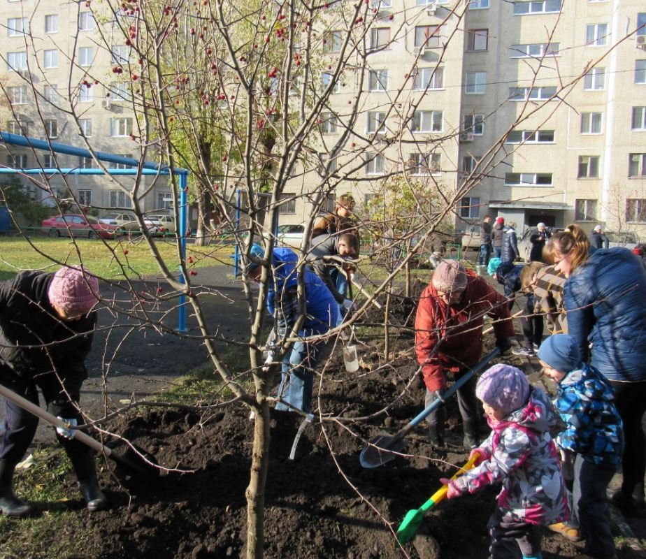 Тюменцев приглашают на субботник 10 октября