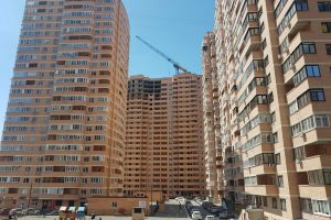 Законные войны. Как найти управу на неуживчивых соседей