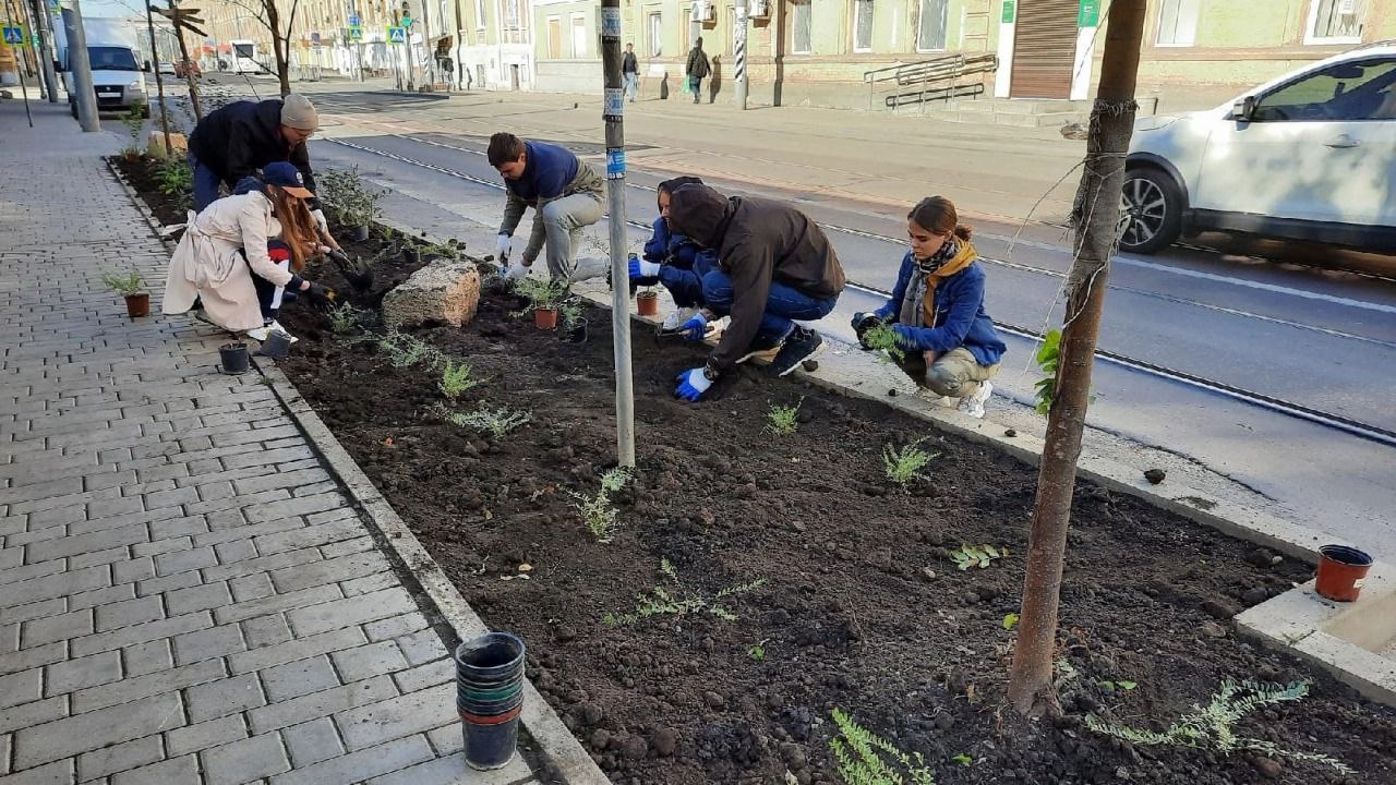 Активисты озеленили улицу Станиславского в Ростове-на-Дону - фото 1