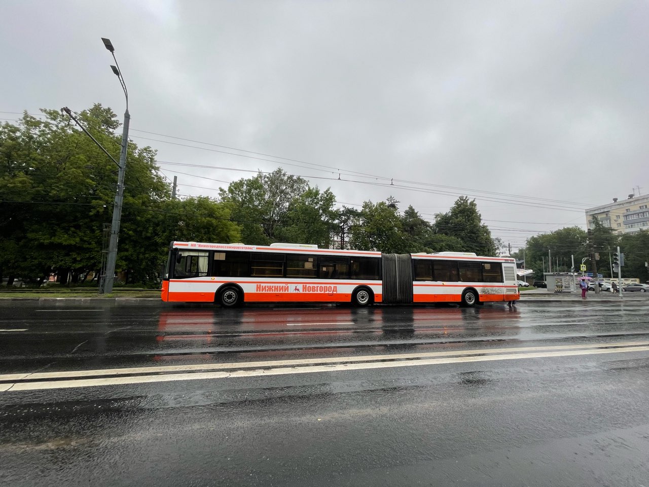 Шесть автобусных маршрутов не отображаются на «умных остановках» Нижнего Новгорода - фото 1