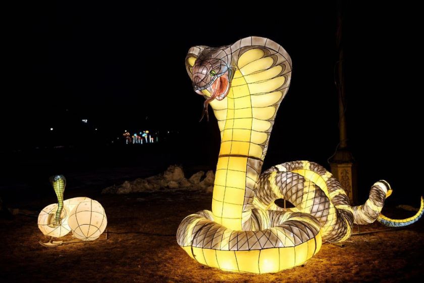 В Ростове открылся парк гигантских световых фонарей